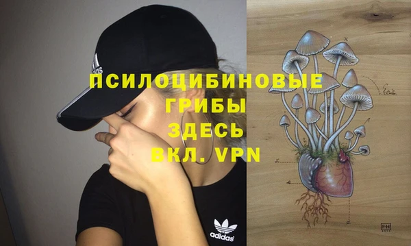 а пвп мука Абаза