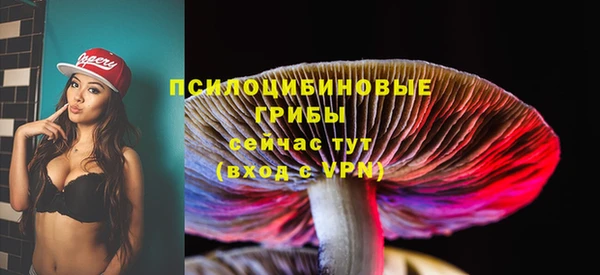 а пвп мука Абаза