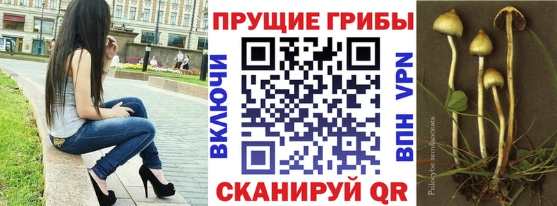 купить наркотик  Усмань  ОМГ ОМГ зеркало  Псилоцибиновые грибы мицелий 